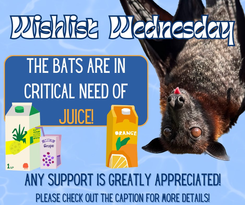 Hello bat friends! The bats are in critical need of juice for enrichment! 🍎 We sometimes run into issues with our wishlist link, our address is: 1309 NW 192nd Ave, Gainesville, FL 32609 Thank you for your support! amazon.com/hz/wishlist/ls…