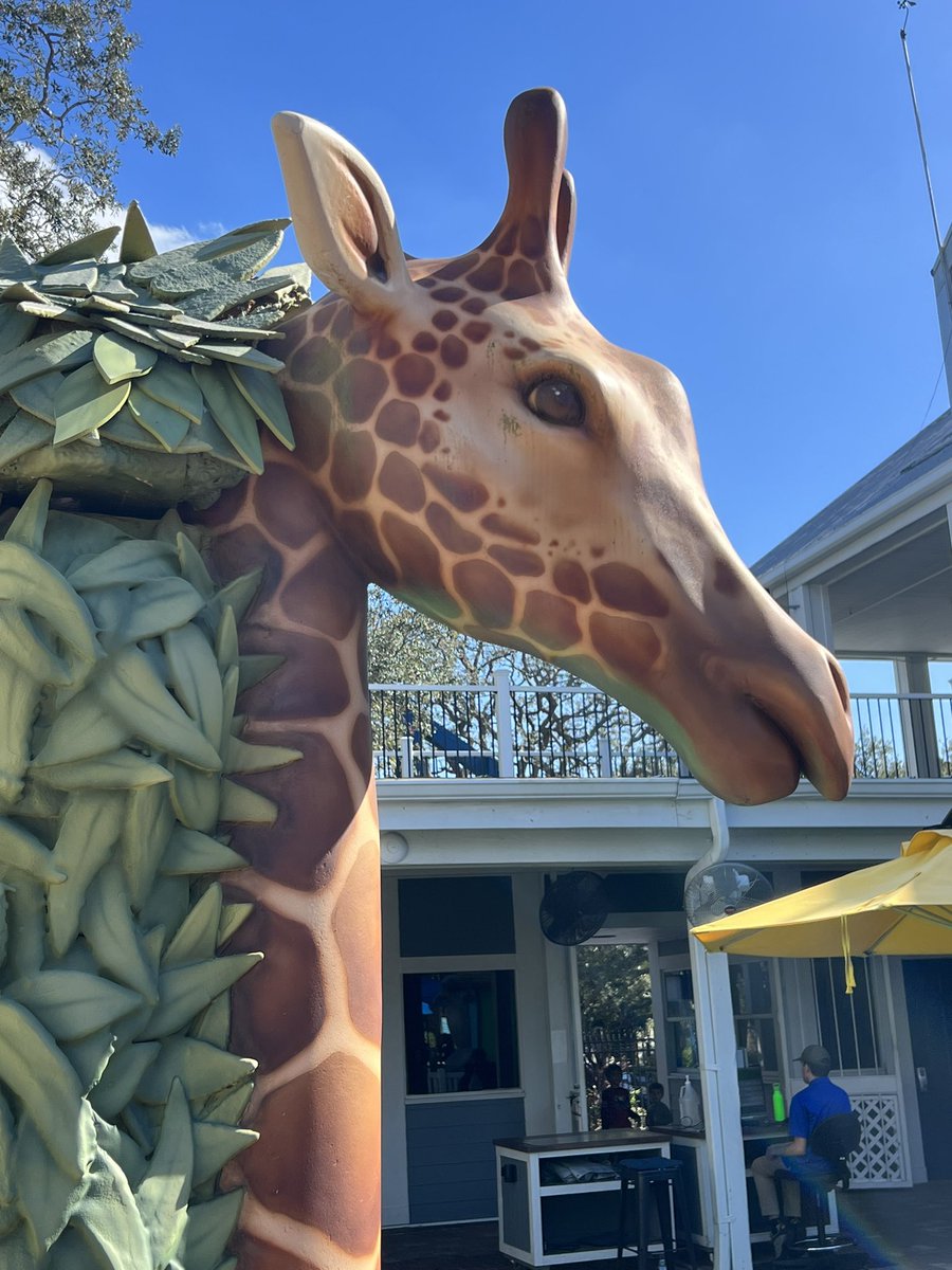 HCPS Magnet Schools and Programs tweet media