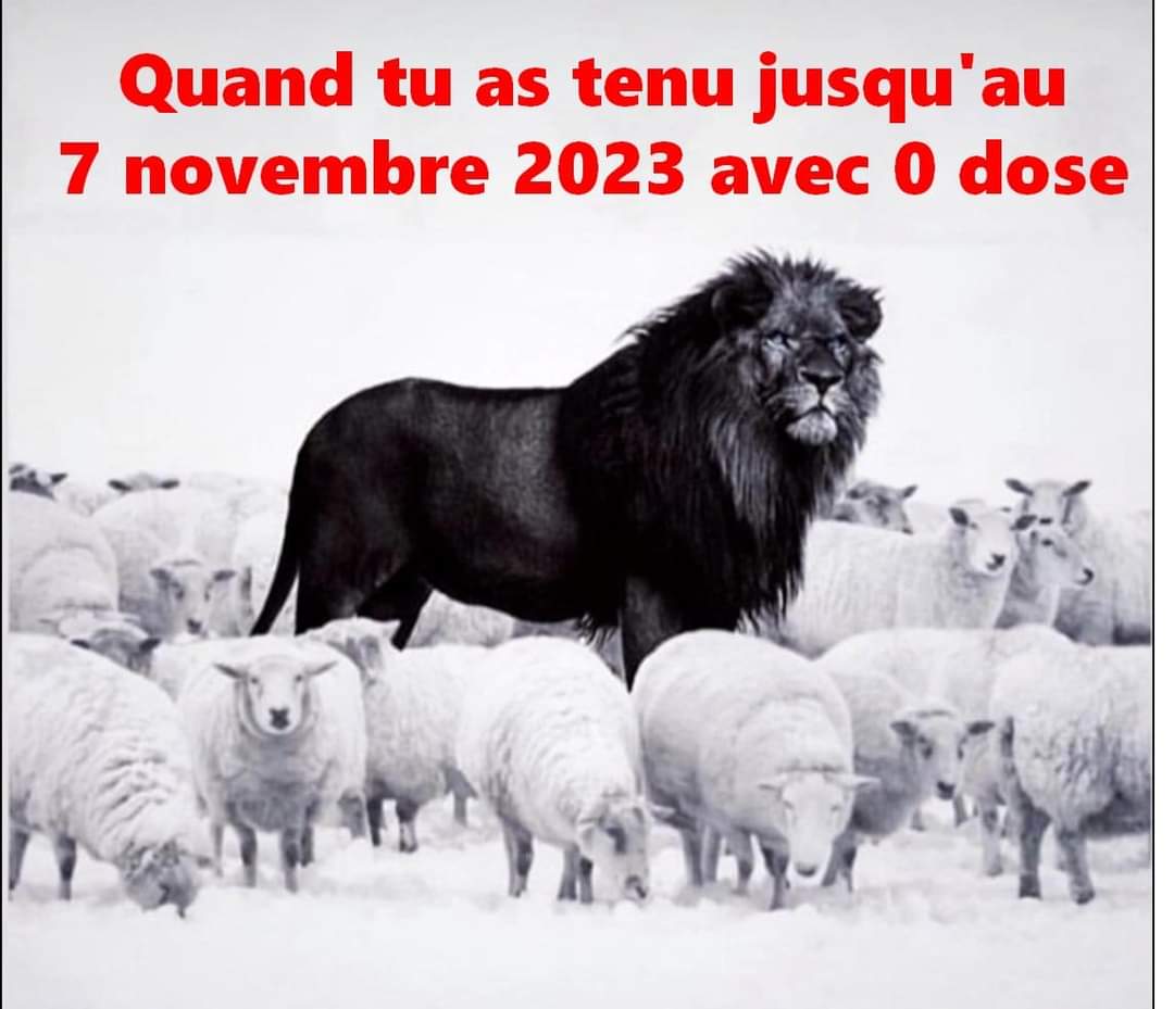 GOlivierbl45508's tweet image. #COVID19 #PassSanitaire #TestPCR #AutoTest
#VaccinationObligatoire
Quand la résistance n'a jamais plier 
🏆