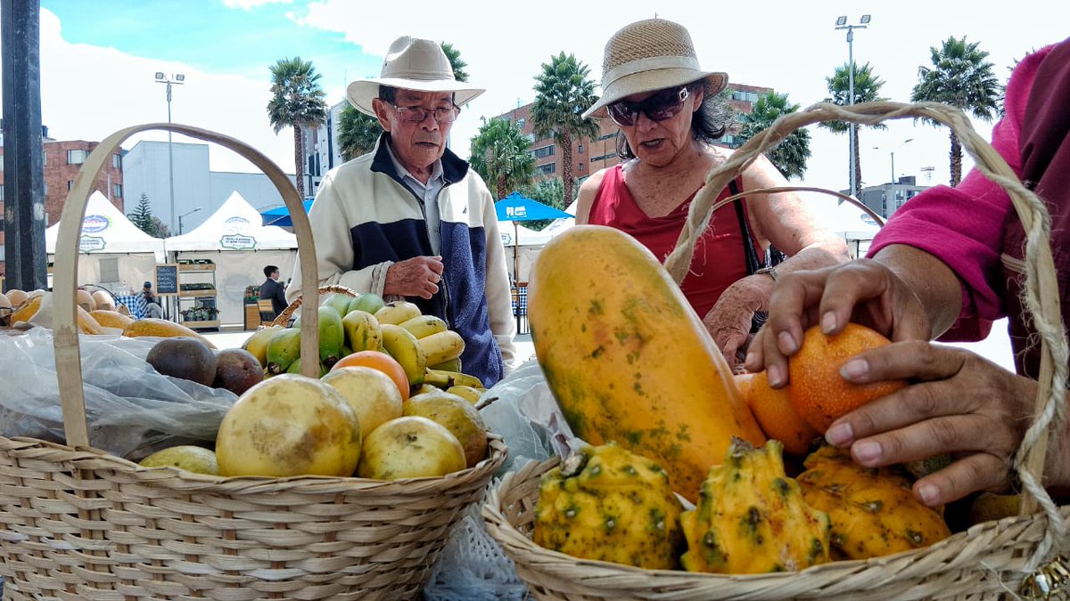 DesarrolloBta's tweet photo. #VenYa ¿Quieres conocer de cerca a los productores y productoras de la Bogotá Rural y la Región Central?.
¡Aún estás a tiempo!
Ven a los #MercadosCampesinos y descubre la pasión que ponen en cada uno de sus productos.
📍 @ConcejoDeBogota
🕓 Hasta las 4:00 p.m.
🗓️ 8 de nov. https://t.co/Cu8Ldnp8U9