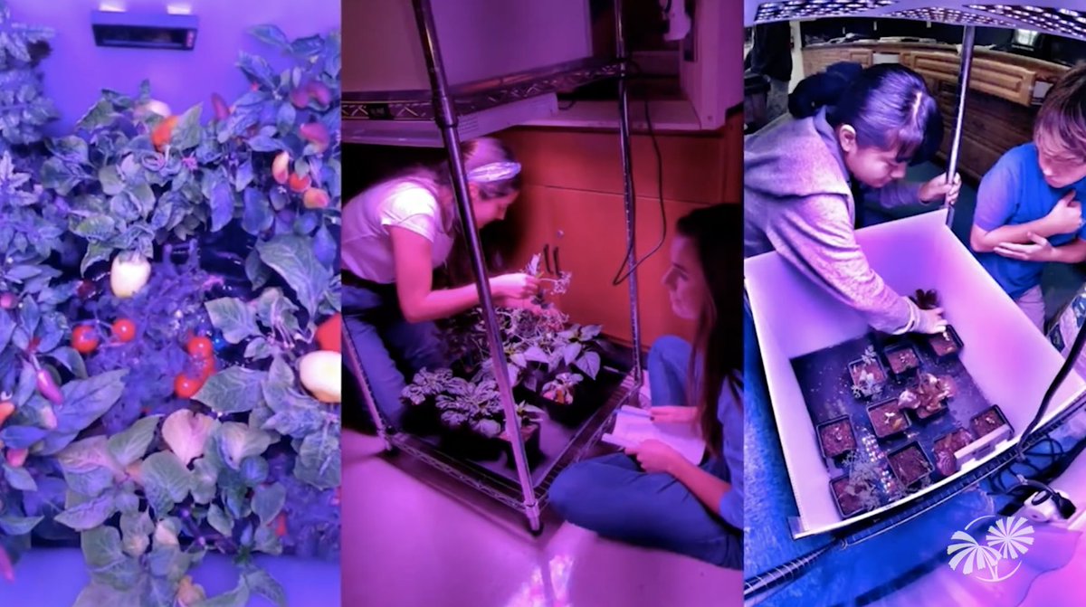 Congrats to 6 high school teams from the classroom-based Growing Beyond Earth project who will present their original research on growing plants in space at the American Association for Gravitational & Space Research Conference this month! Learn more: go.nasa.gov/47lm7ag