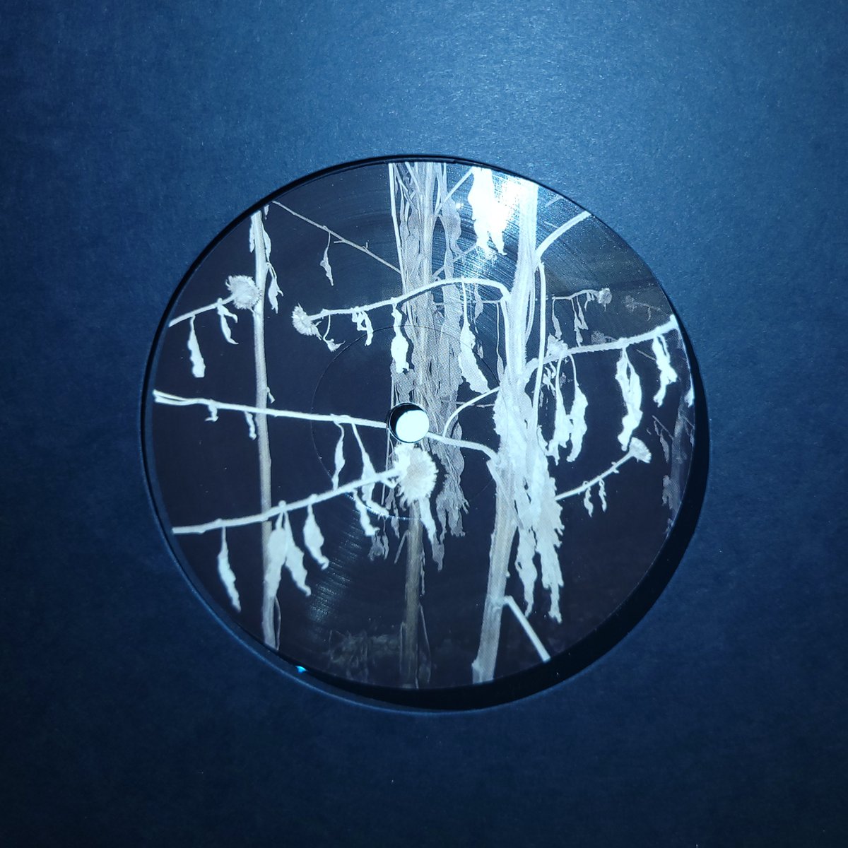 ChainedLibrary's tweet image. final litüus release. The body of work spanned from 2011 - 2023. First show was a Haters show in my living room in Madison WI in 2011. Last show was a ketamine rave on the first day of COVID-19 Lockdown to lost disinterested children.
Mastered by Kris Lapke
text by KM