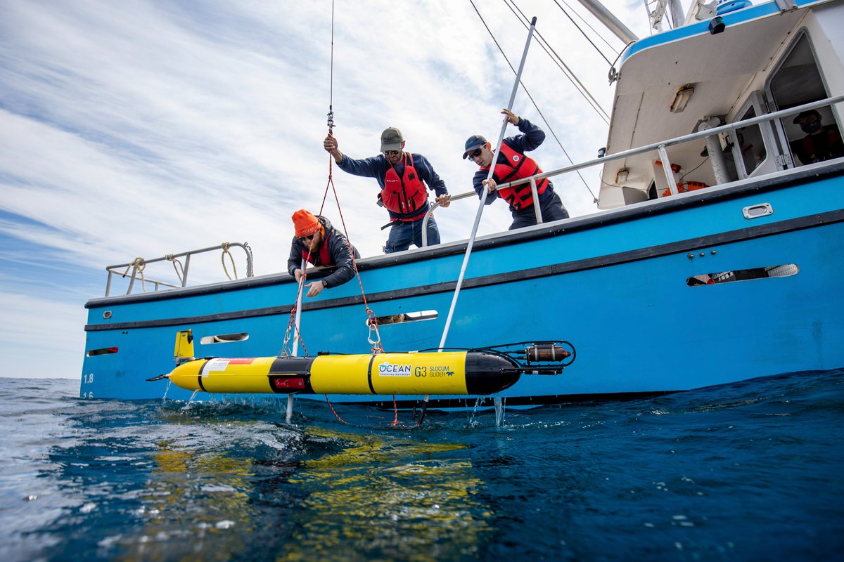 Ocean Tracking Network tweet media