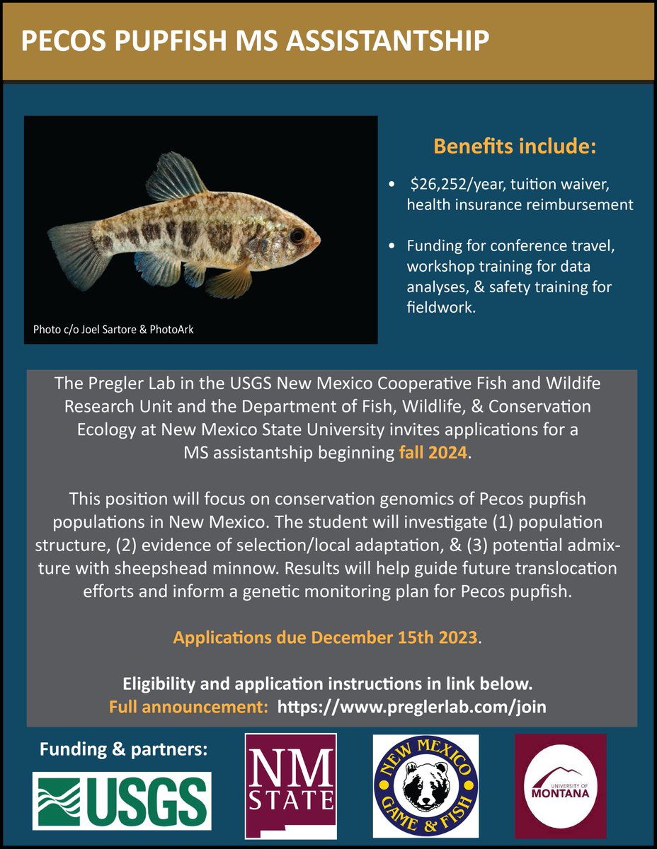 🚨MS position🚨 in my lab! Conservation genomics of Pecos pupfish which persist in extreme habitats in saline springs and gypsum sinkholes in the Chihuahuan Desert. Details w/ eligibility and how to apply: preglerlab.com/join Questions should be sent by email. Pls share!🐟