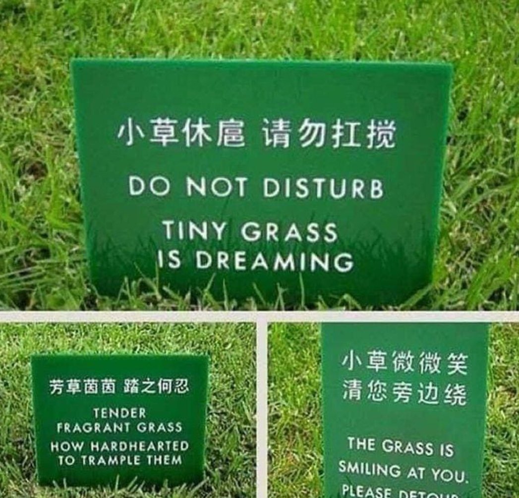 What Does Touch Grass Mean?