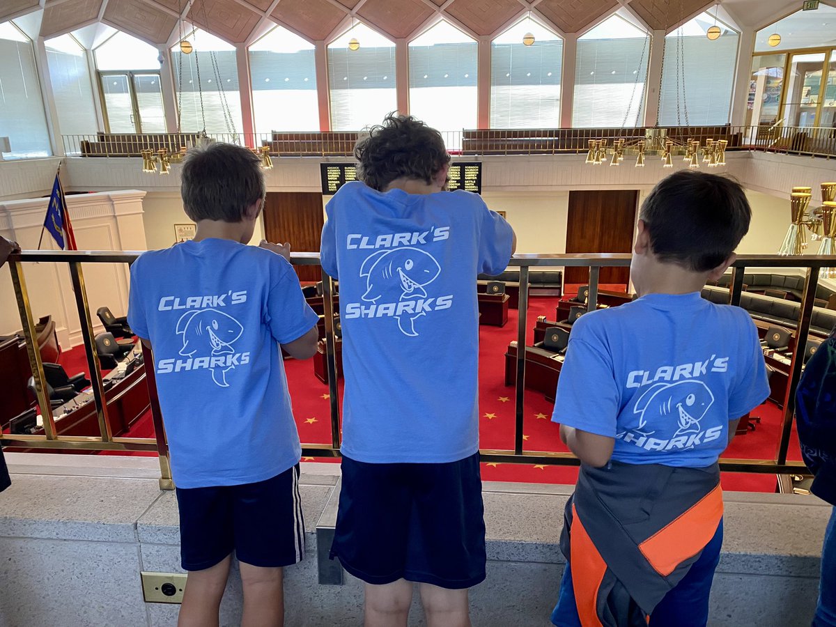 Lucy Clark tweet media