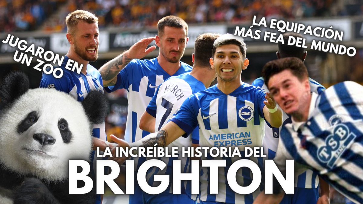 LaMediaInglesa's tweet image. LA INCREÍBLE HISTORIA DEL BRIGHTON: DE JUGAR EN UN ZOO A EUROPA

El Brighton es el equipo de moda gracias a su éxito en el campo y fuera de él.

Pero hubo una época en la que estuvieron al borde de la desaparición.

Hoy, desde Brighton, os contamos la increíble historia del club.