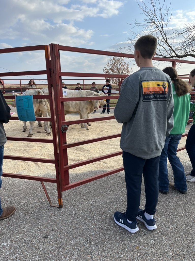 FFA members competed in District Livestock Judging today at SCC Beatrice! Members placed 8 classes of cattle, pigs, sheep, and goats and presented reasons!