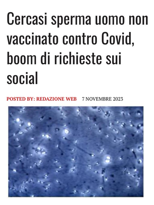 Secondo un'inchiesta esclusiva del 'Daily Mail' che ha indagato sul fenomeno, le richieste di sperma<a href="/tag/crosetto"class="tags"><span>#crosetto</span></a>