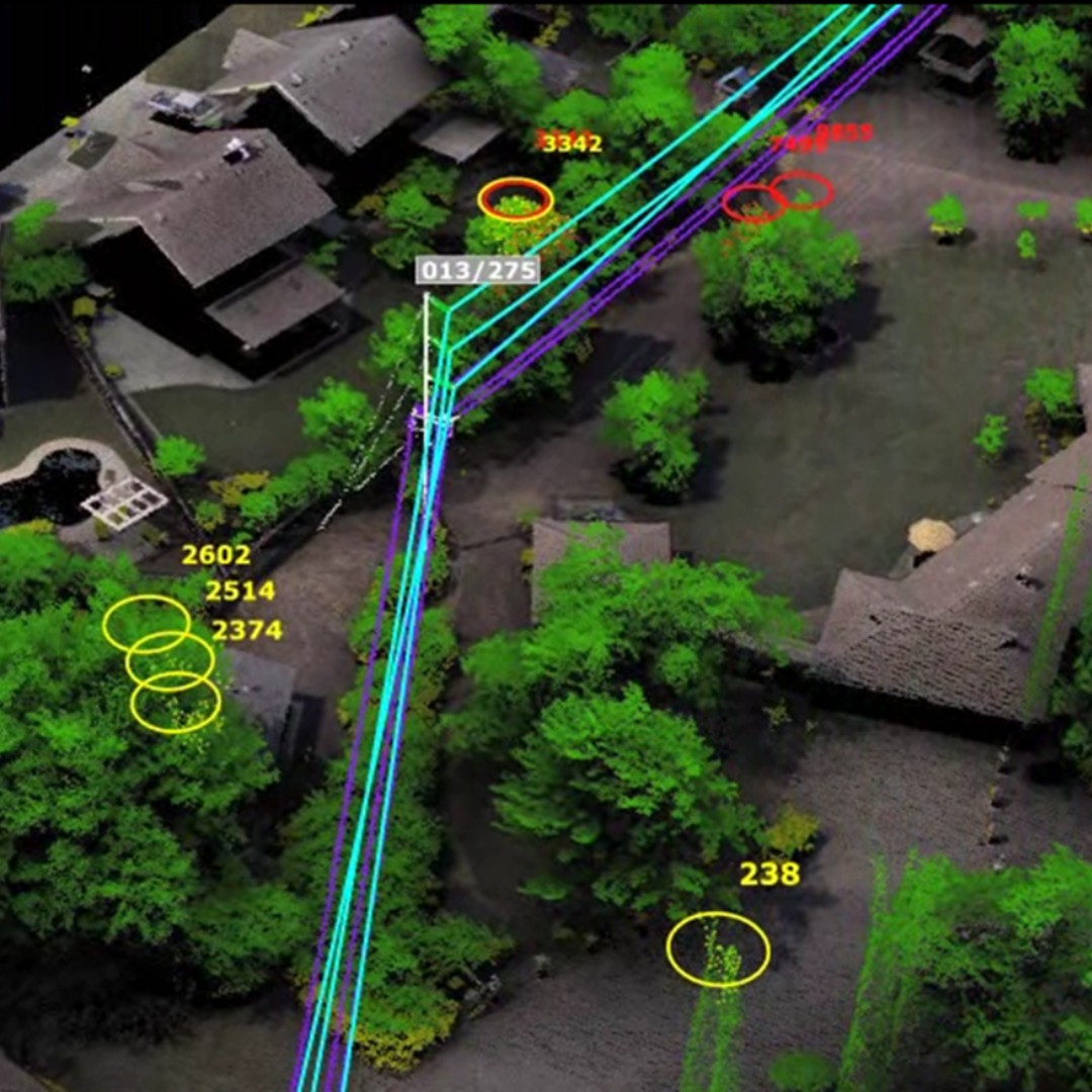 Trees got you down? NV5 Geospatial's Rapid Reporting provides quality, affordable vegetation management in an unmatched turnaround time. To learn more, follow the link! 

ow.ly/ivI550NUBqk

#VegetationManagement #Lidar #Power #Utility #Distribution #Data #GIS