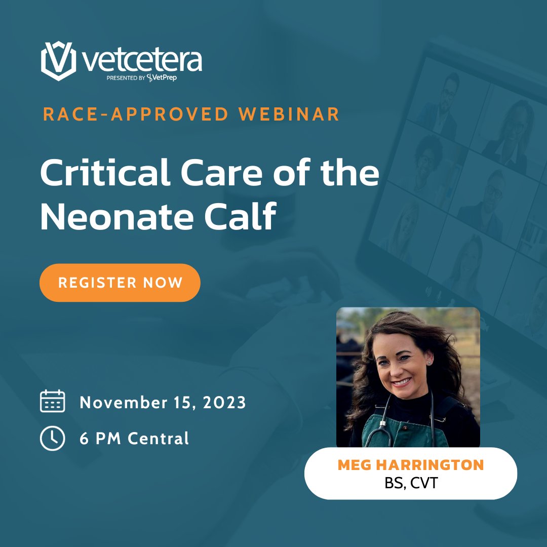 Vetcetera tweet media