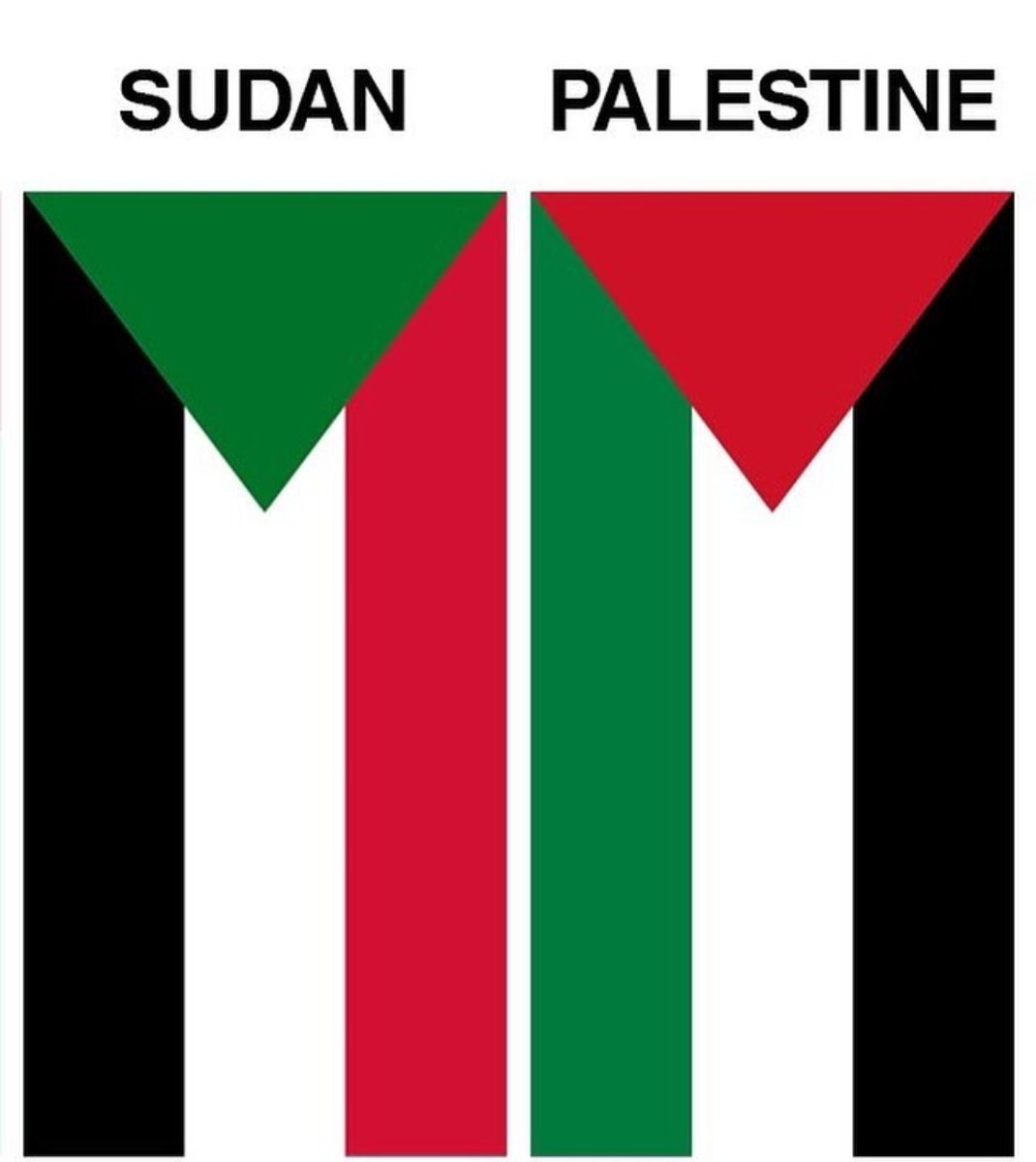 True Memes (@truememes_) on Twitter photo 