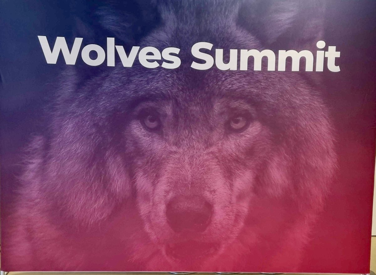 pitch_avatar's tweet photo. @Roi4Presenter is howling with excitement at @WolvesSummit in #Vienna!🐺

Fast update: our team is pitching #PitchAvatar tomorrow, but today is all about of networking with fellow startups and #tech enthusiasts.

#WolvesSummit #ROI4Presenter #UkrainianStartups https://t.co/sgCOVoLIYH