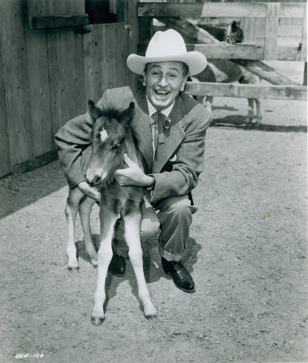 'Some of the most fascinating people I've ever met are animals.' —Walt Disney #WaltWednesdays