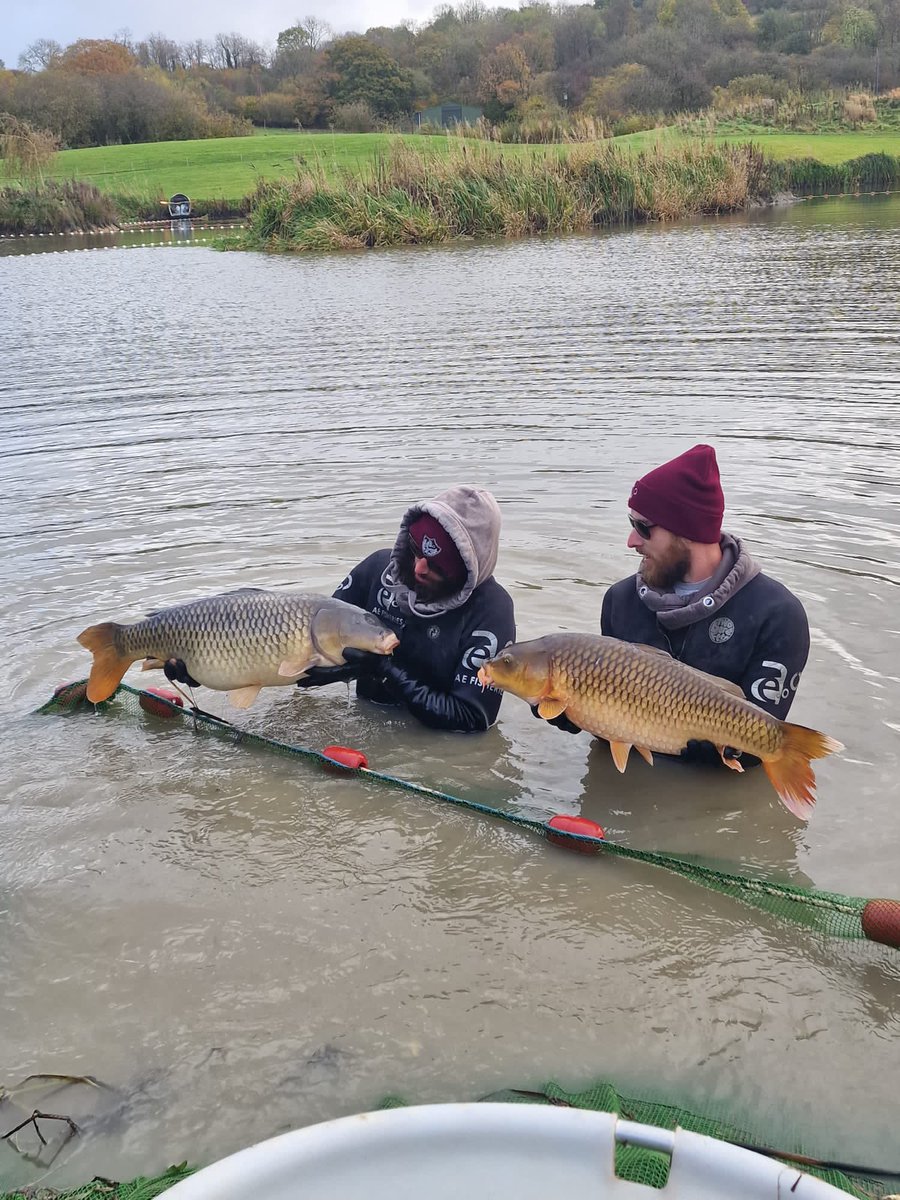 SrSpringrock's tweet image. Netting day