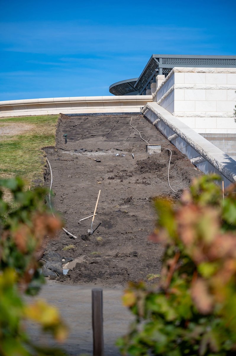 One square yard of grass requires 291 gallons of fresh water annually. Our global responsibility is to partner with @reedhilderbrand to replace our iconic berm lawns with a drought-tolerant landscape consistent with Napa Valley's flora. We will share more updates soon.