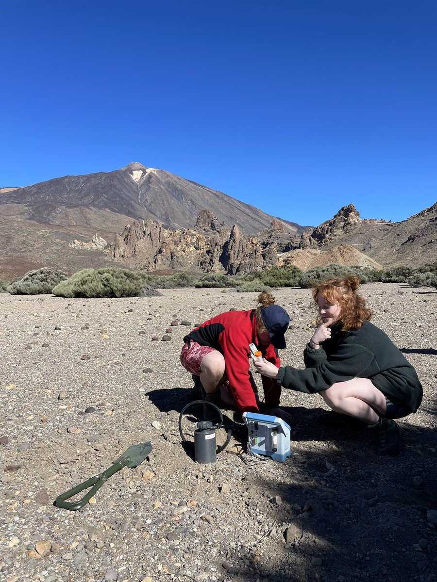 Graham Bird tweet media