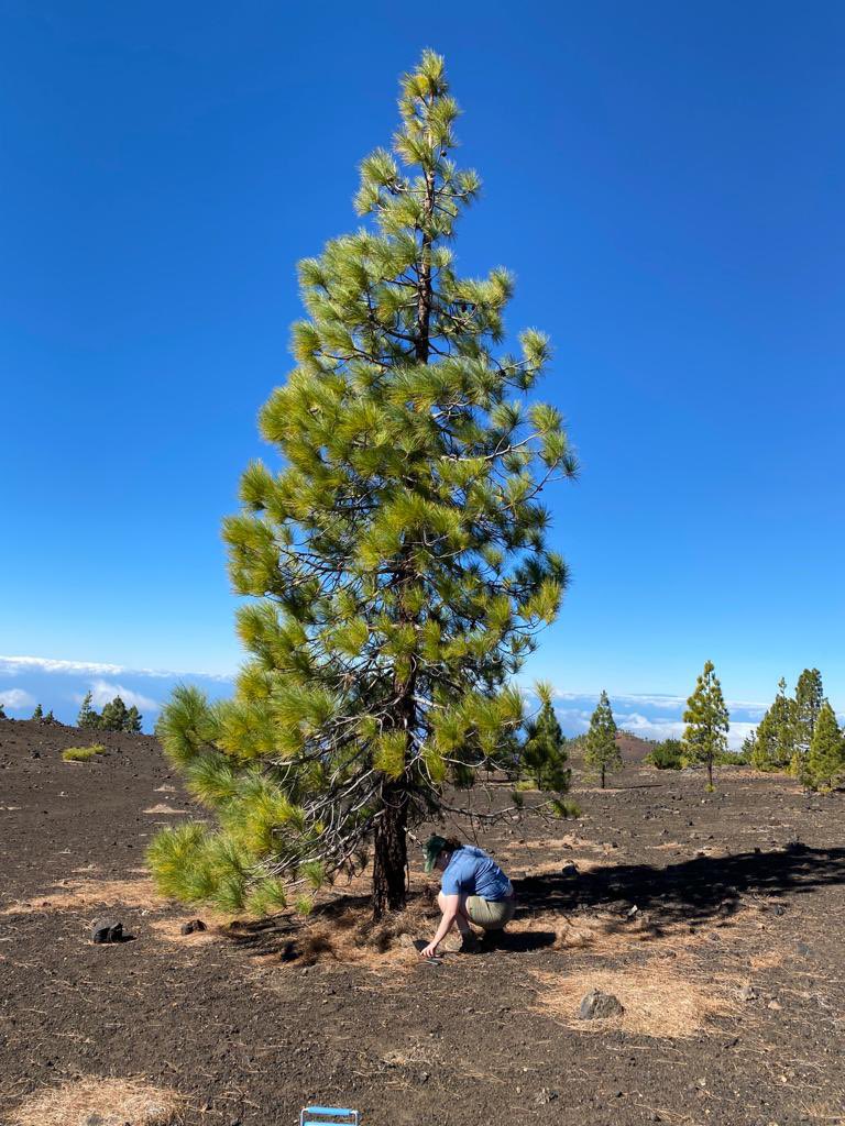 Graham Bird tweet media