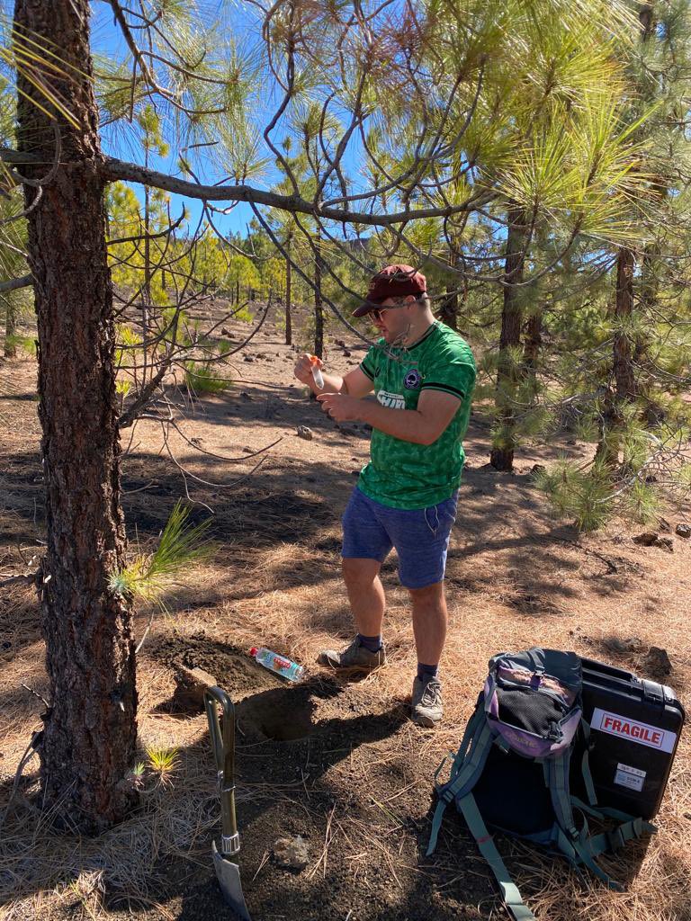 Graham Bird tweet media