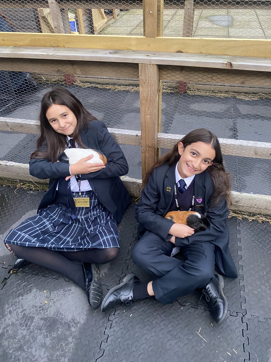 Kingswood_academy_enrichment (@kwa_enrichment) on Twitter photo Our students have enjoyed being back at <a href="/Kingswood_Acad/">Lift Kingswood</a> Farm this week, and welcoming our new farm Leaders! Our students have enjoyed being back at <a href="/Kingswood_Acad/">Lift Kingswood</a> Farm this week, and welcoming our new farm Leaders!