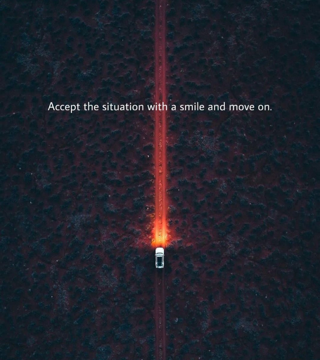 lightningAko's tweet image. 