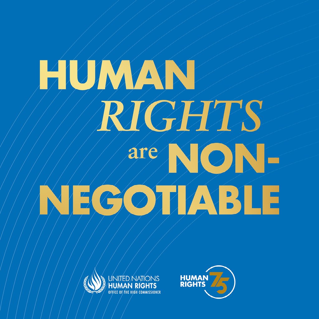 For 75 years, the core ambition of the Declaration of Human Rights has been to infuse societies with equality, fundamental freedoms and justice. It safeguards the rights of all human beings and is a cornerstone of the #2030Agenda. #HumanRights75 #StandUp4HumanRights