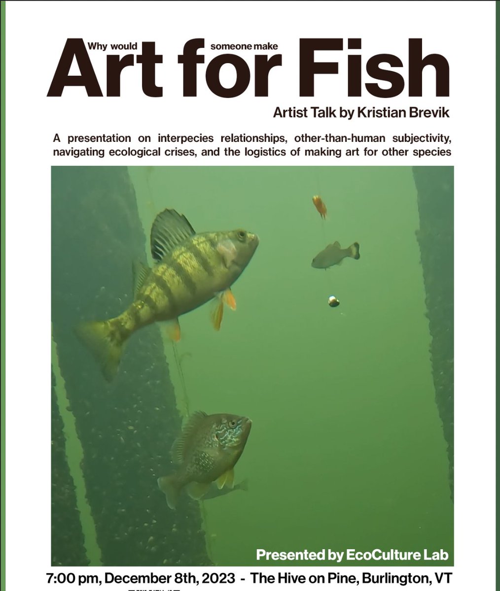 hey! want to learn about how we've been thinking about multispecies artmaking and all it connects to??? Here is your chance! DM me for Teams link if you're interested!