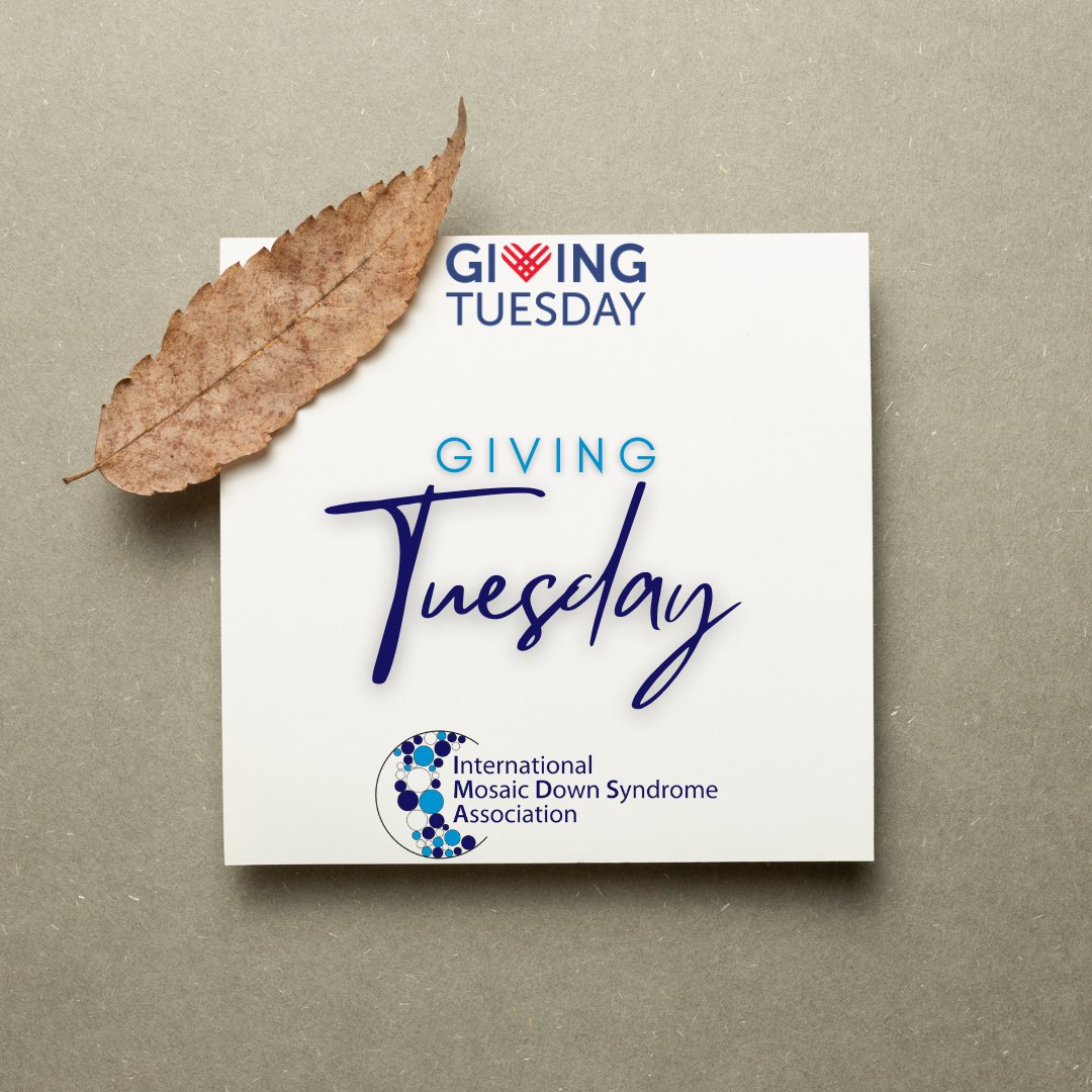 Heads up! This year's Giving Tuesday will take place on November 28. As we enter a season of gratitude and sharing, we invite you to consider donating. 💙 

imdsa.org/donate