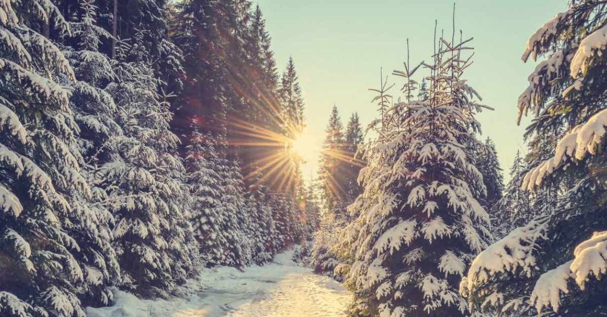 “Music is life itself.” Louis Armstrong