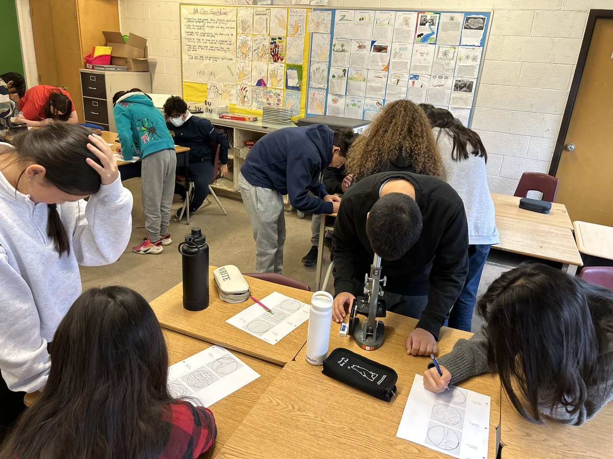 Gr. 8 Science Lab on onions with lab reports!  ⁦<a href="/marham99/">M. Hamid</a>⁩ ⁦<a href="/LC2_TDSB/">Learning Centre 2</a>⁩ ⁦@schan_tdsb⁩