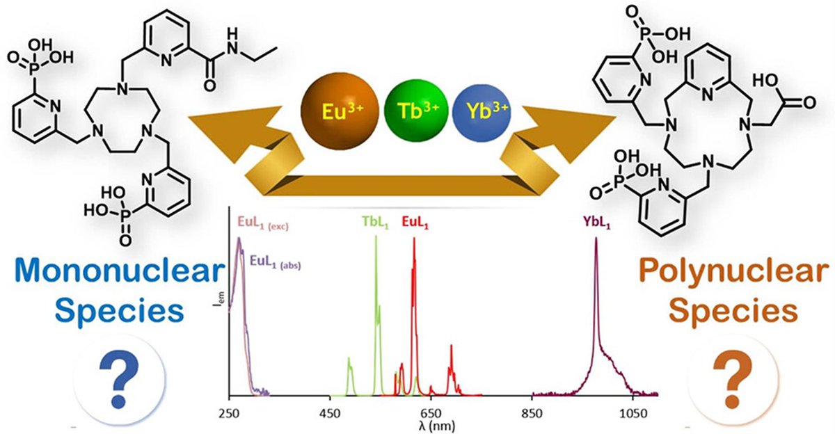 Inorganic Chemistry (@inorgchem) on Twitter photo New monomeric and polymeric lanthanide species generated by tacn- or pyclen-based chelators with pyridinylphosphonic pendants. From @SynpaTeam and <a href="/RTripier/">Raphaël Tripier & MAC Research Group</a>. Learn all about it: pubs.acs.org/doi/10.1021/ac… New monomeric and polymeric lanthanide species generated by tacn- or pyclen-based chelators with pyridinylphosphonic pendants. From @SynpaTeam and <a href="/RTripier/">Raphaël Tripier & MAC Research Group</a>. Learn all about it: pubs.acs.org/doi/10.1021/ac…