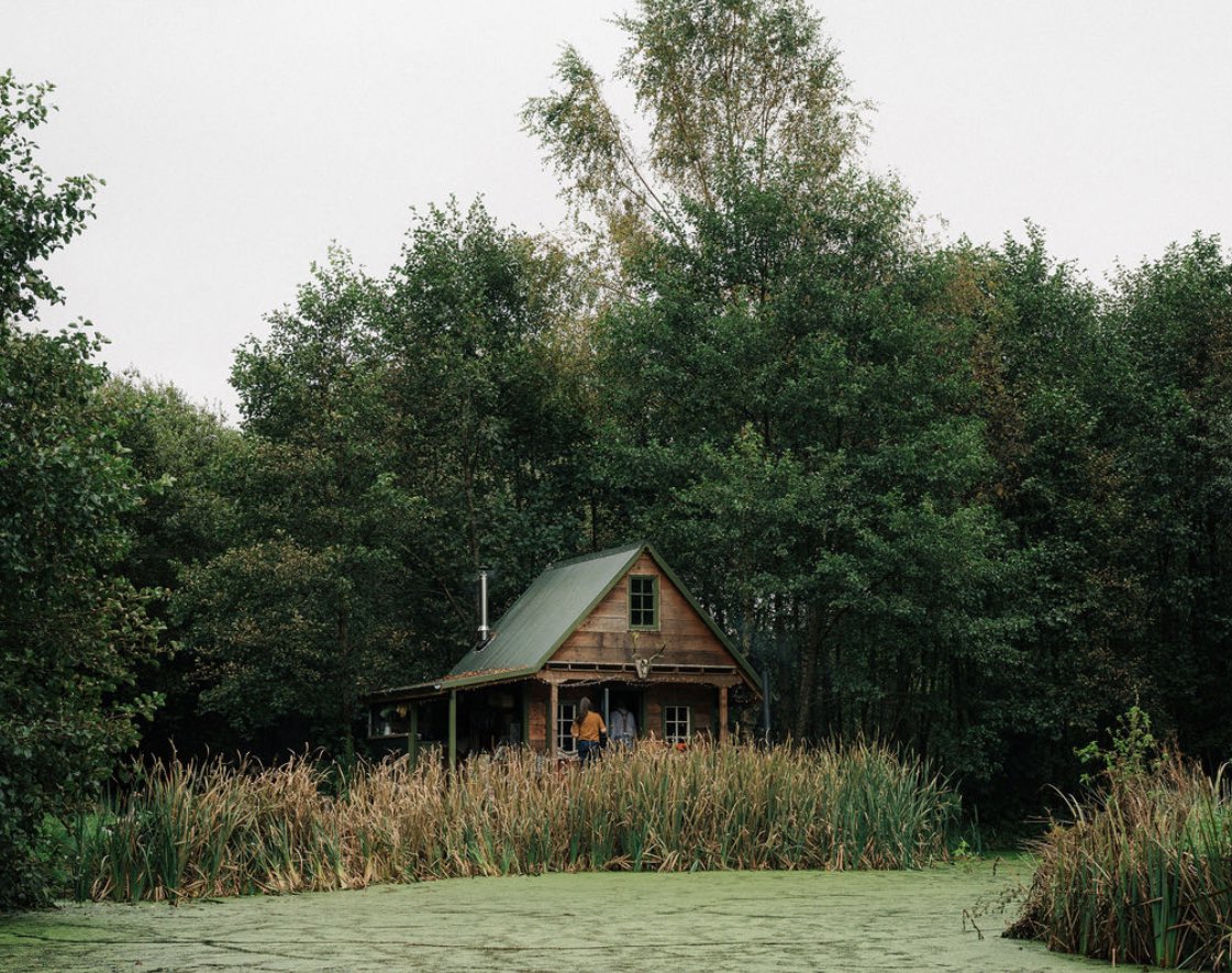 TheGoodwashCompany™ tweet media