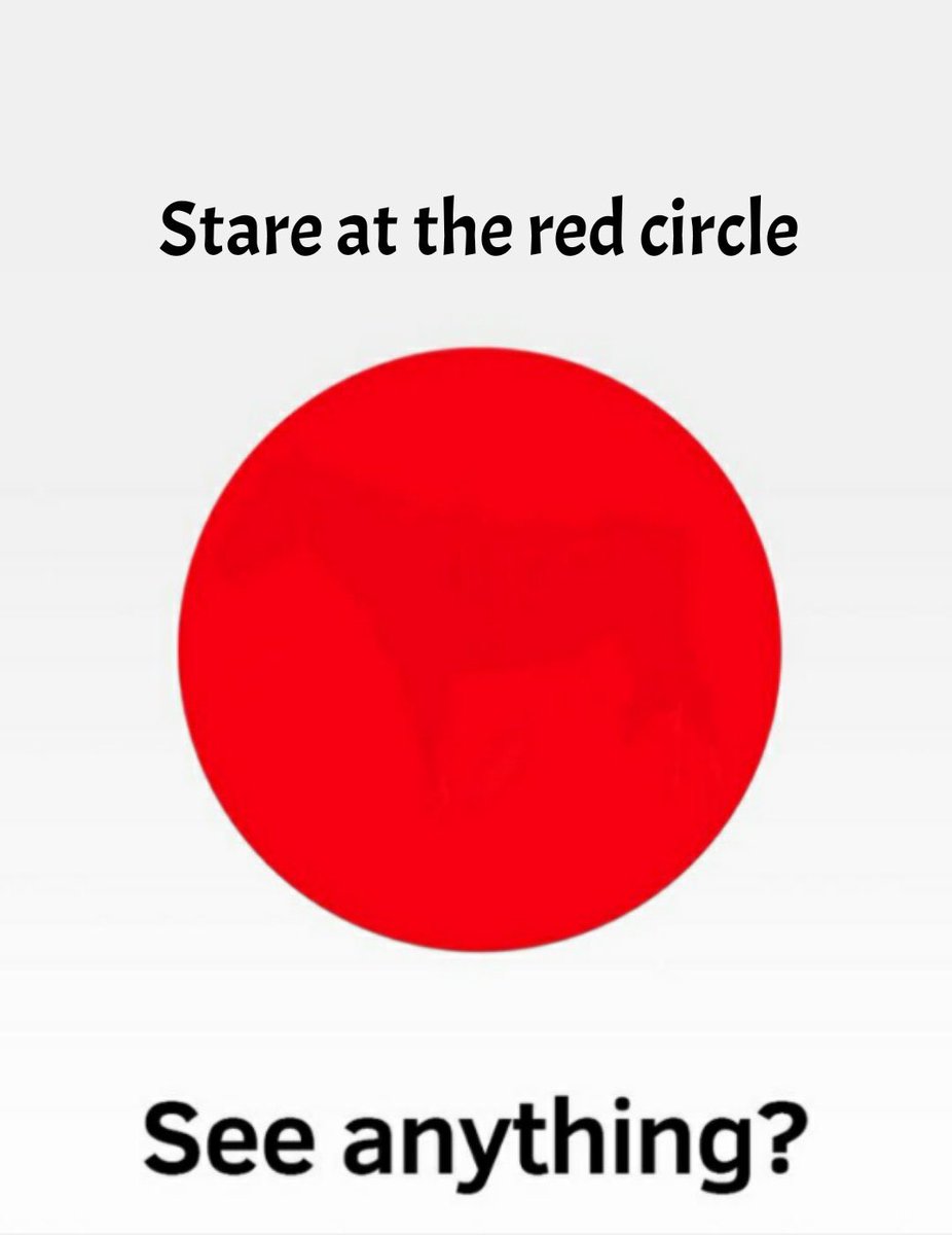 What can you see there?