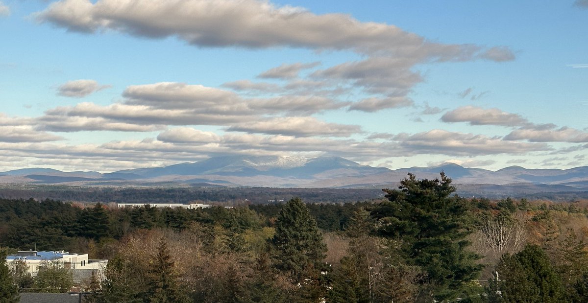 Mark Nelson Lab tweet media