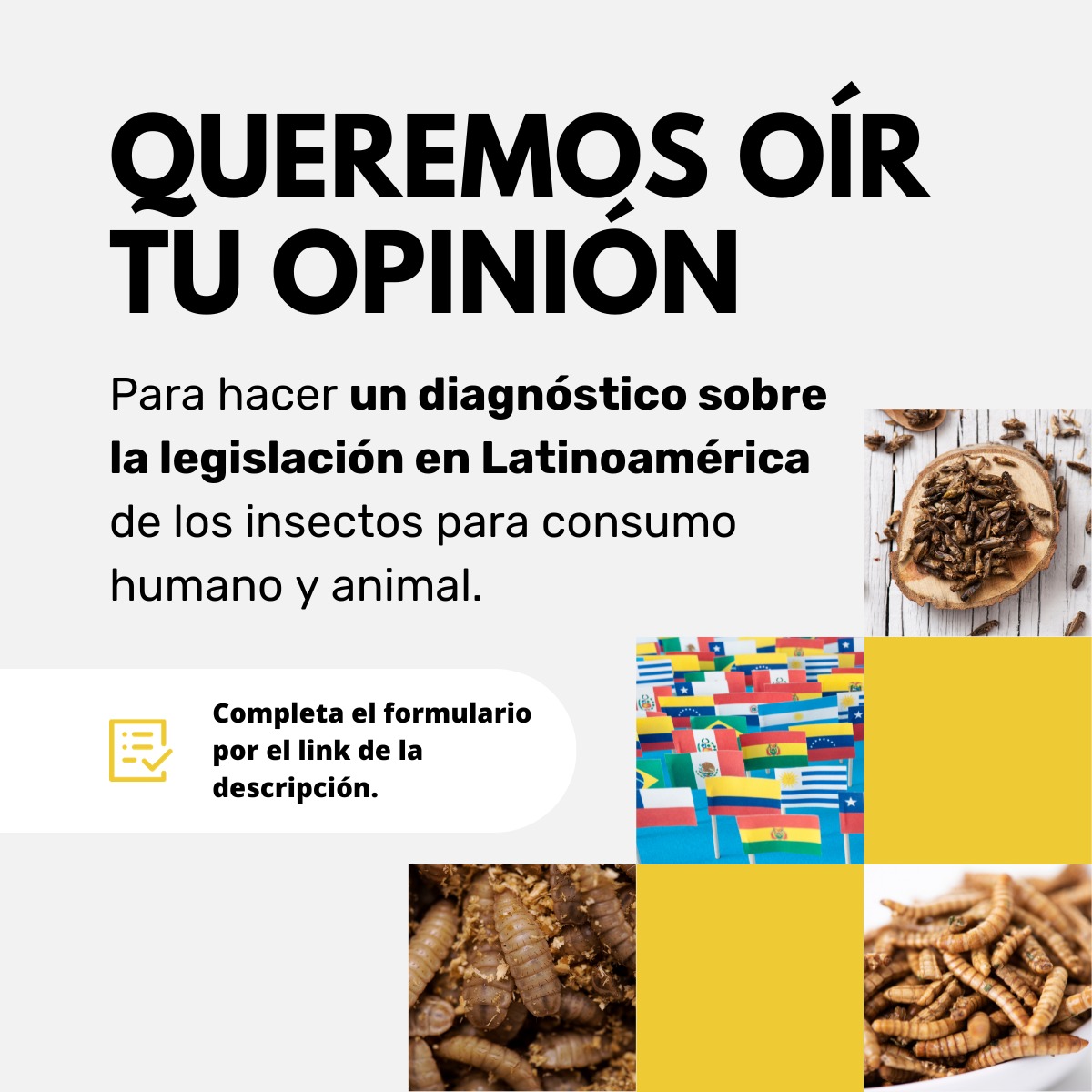 🌎¿Interesados en insectos como alimento en Latinoamérica?🐛🦗🐜 
Ayúdanos con tu opinión para impulsar la legislación sobre el tema💪🐛
Completa el formulario antes del 26 de noviembre forms.gle/xoYsdCs6fkrH7A… y participa del webinar y el workshop que estamos organizando😉