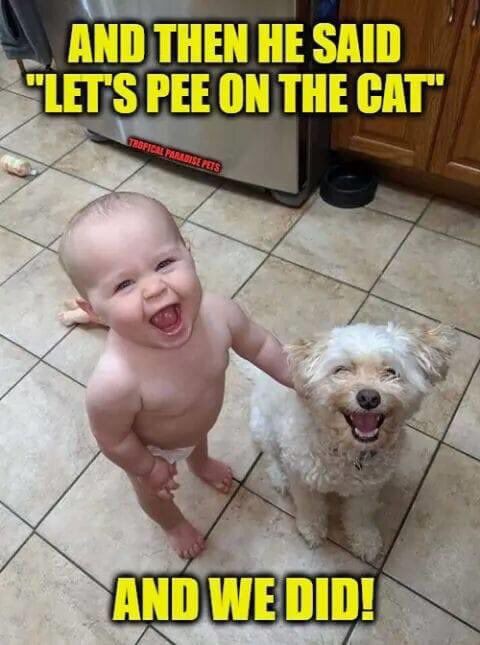 American J.Rolland 🤙 tweet media