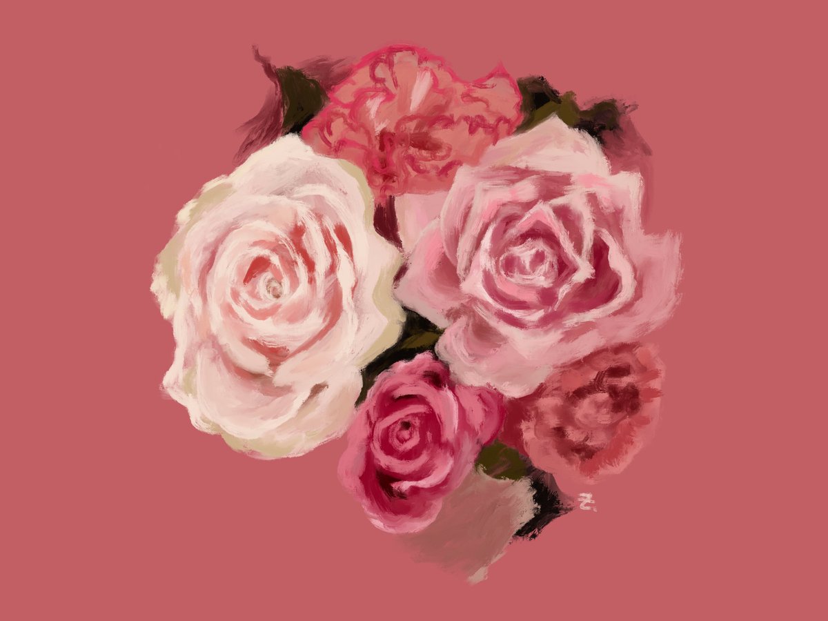 no humans flower rose pink flower pink rose white flower simple background  illustration images