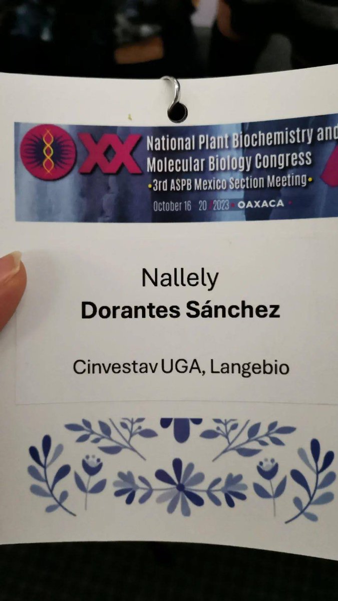 Nallely Dorantes tweet media