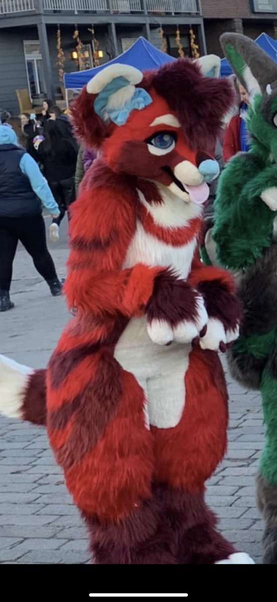 cami stop standing like this in fursuit challenge (impossible)