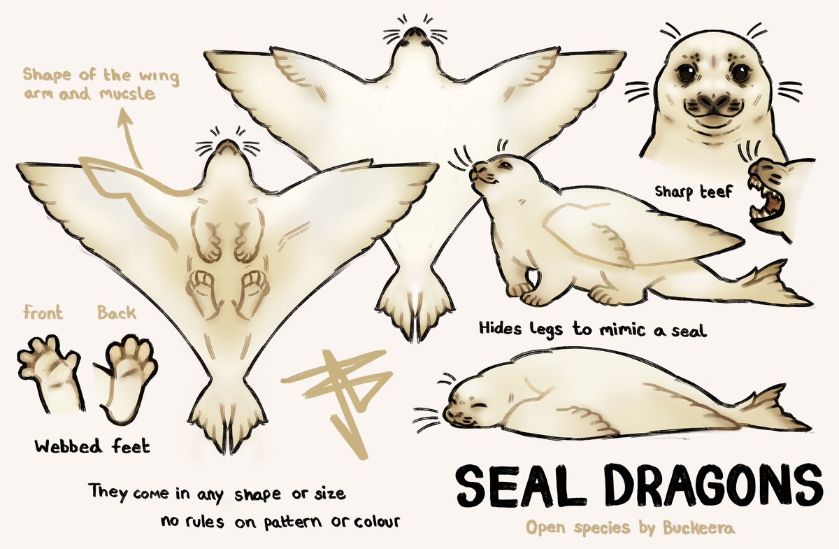 seal dragon info <3