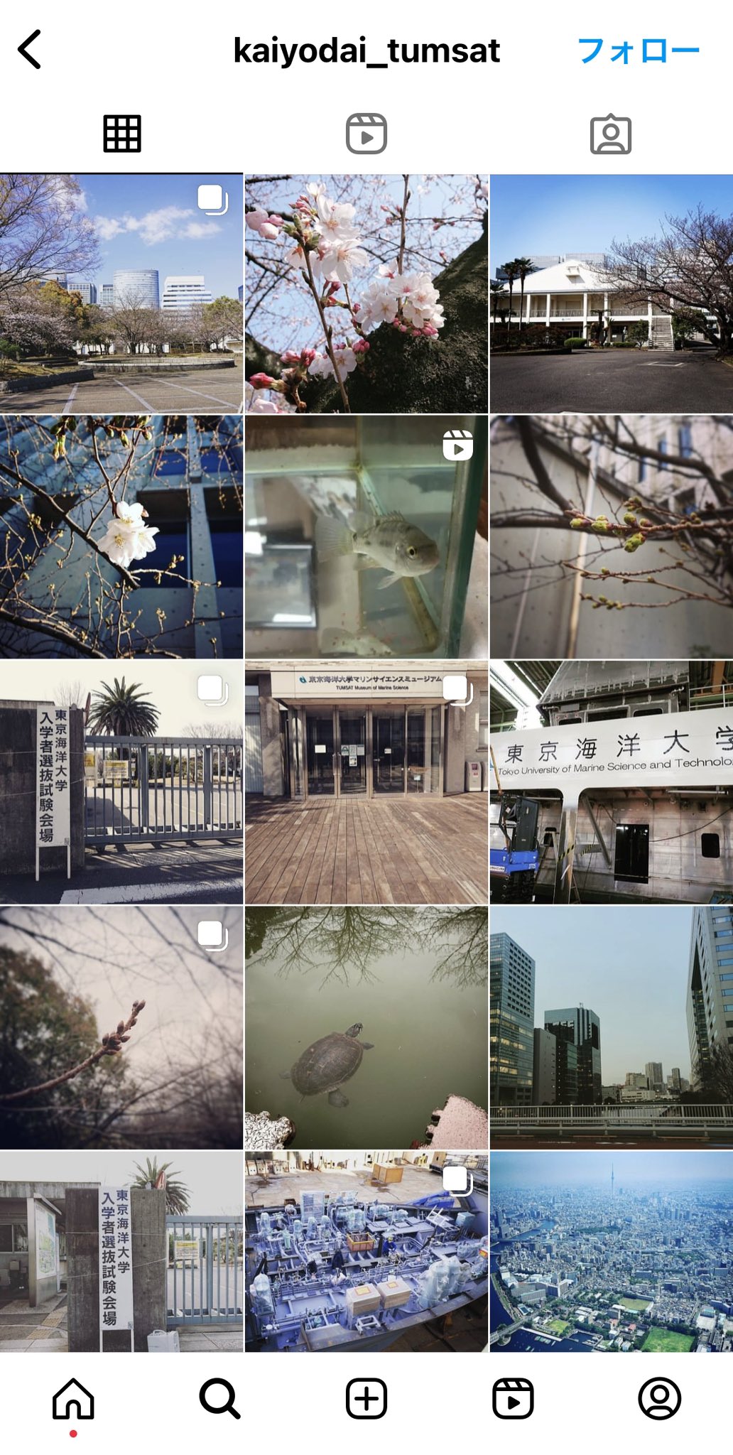 国立大学法人 東京海洋大学