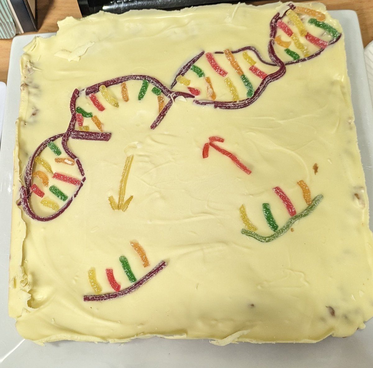 Ashley Crook tweet media