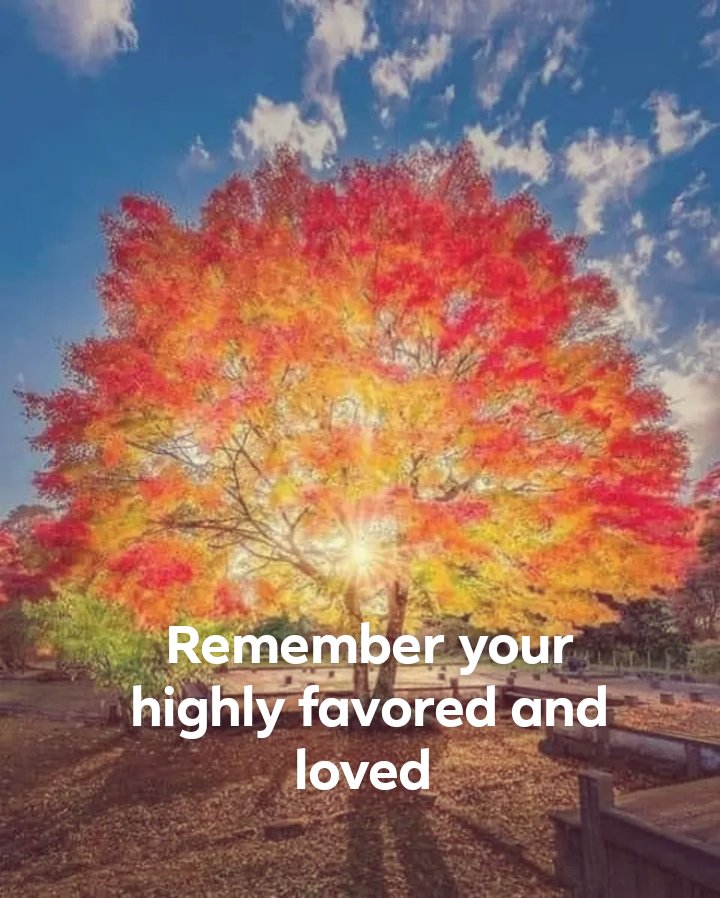 TSpicer 910ILM@ILMCAROLINA (@178tspicer) on Twitter photo 