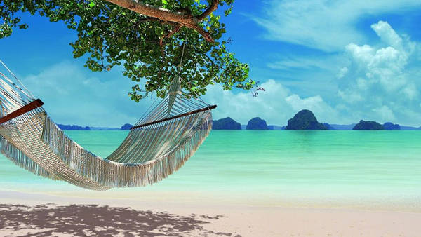 RodrickSho54609's tweet photo. Nice trip! relax and happy https://t.co/I6IVmxKJ7W