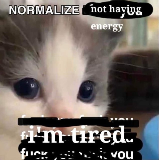 LiterallyMeCats (@literallymecats) on Twitter photo 