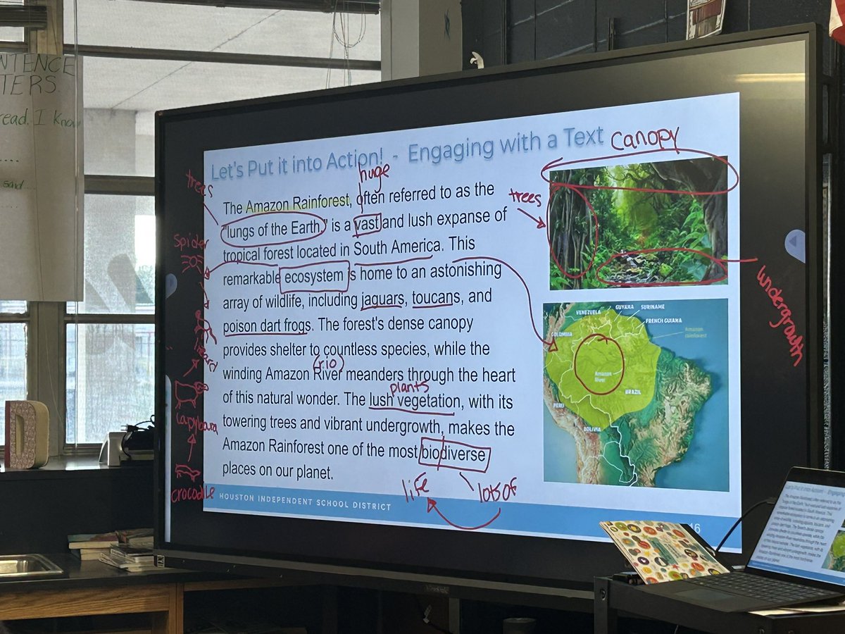 worldofmsa's tweet image. Using all kinds of strategies with beginner EBs to make texts comprehensible and having fun with them along the way! #sketchtostretch #MRSinaction #annotations #makeitvisible #engagementmatters