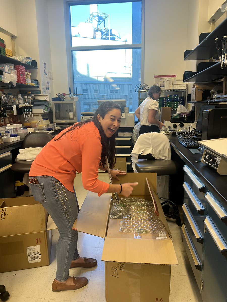 Exciting new purchase for our favorite bioengineer <a href="/BrittanyAGonz/">Brittany A. Gonzalez Ceballos</a> 🔬🫀🎉