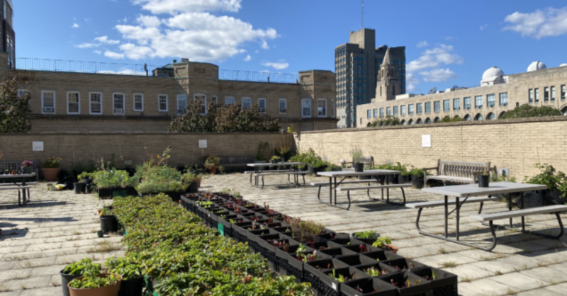 IGS_BU's tweet photo. Thanks to @BUonCities for spotlighting the @BUEarth students behind the BU Community Garden, an ongoing #CampusClimateLab project. Learn more about their aspirations for urban gardening on campus and leaving a lasting impact after they graduate. #BUandBoston