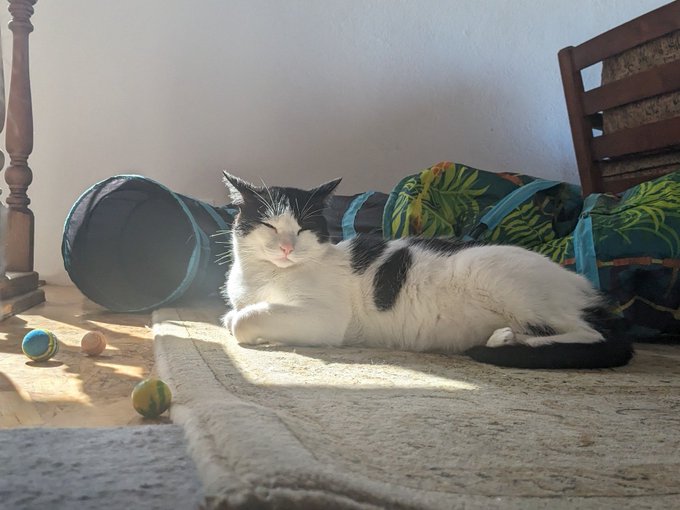 Shy Rogers ❤️ https://t.co/BhRwXUhWb2