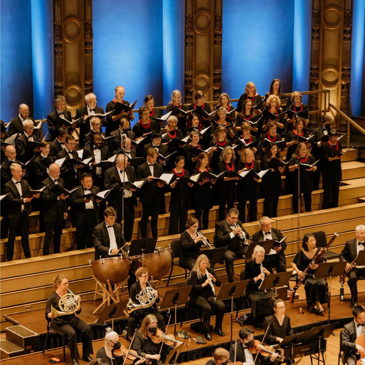 VanBachChoirs's tweet photo. Some gorgeous photos from our Mozart &amp; Haydn concert in October came in from @diamondsedgephotography !

#Mozart&amp;Haydn #VBFC #VancouverBachFamilyofChoirs #YVRMusic #YVREvents #YVRClassical https://t.co/OjlnuGtZ9x